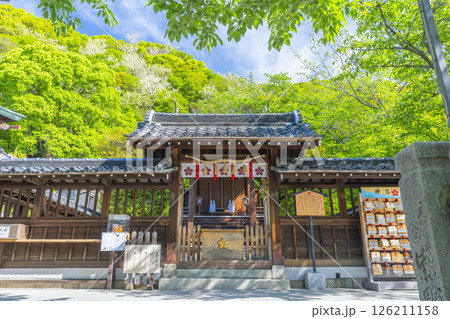 北野天満神社 新緑に包まれた本殿 北野天満神社 新緑に包まれた本殿 126211158