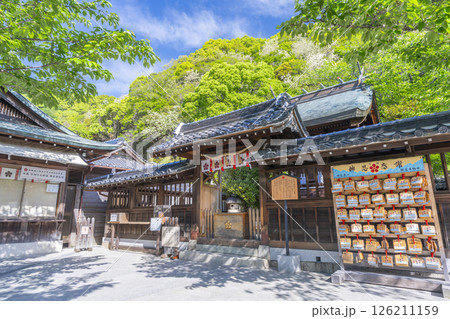 北野天満神社　新緑に包まれた本殿 126211159