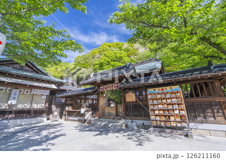 北野天満神社 新緑に包まれた本殿 北野天満神社 新緑に包まれた本殿 126211160