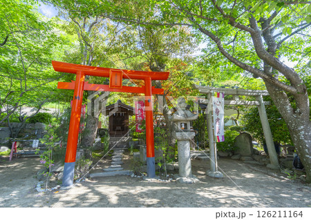 北野天満神社境内に鎮座する天高稲荷神社と薬照大明神 126211164