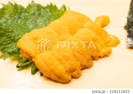 おいしいエゾバフンウニ 126211655