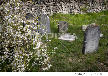 Tombstone at an abandoned jewish cemetery, Slovakia Tombstone at an abandoned jewish cemetery, Slovakia 126211832
