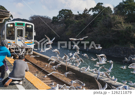 浜松市にある天竜浜名湖鉄道の浜名湖佐久米駅で飛び交うカモメたちと電車の風景(静岡県) 126211879