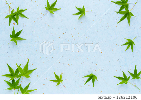 青もみじとライトブルーの和紙の背景 126212106