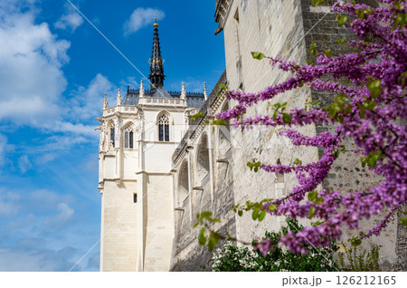 Chateau of Amboise during springtime 126212165