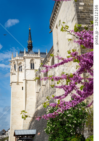 Chateau of Amboise during springtime 126212166