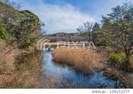 伊東市の一碧湖の風景(静岡県) 伊東市の一碧湖の風景(静岡県) 126212277