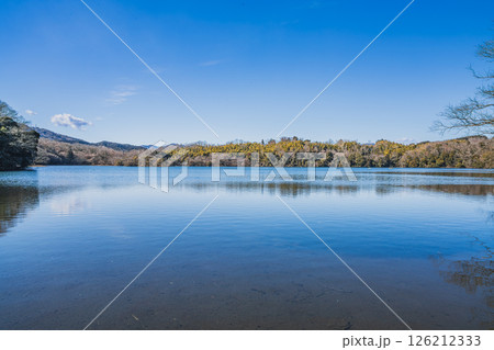 伊東市の一碧湖の風景(静岡県) 伊東市の一碧湖の風景(静岡県) 126212333