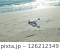 砂浜に打ち上げられたビンと光る波打ち際 126212349