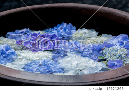水鉢に浮かぶ紫陽花の花びらの涼やかなアレンジメント 水鉢に浮かぶ紫陽花の花びらの涼やかなアレンジメント 126212684