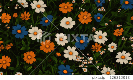 view field daisies flowers color blooms 126213018