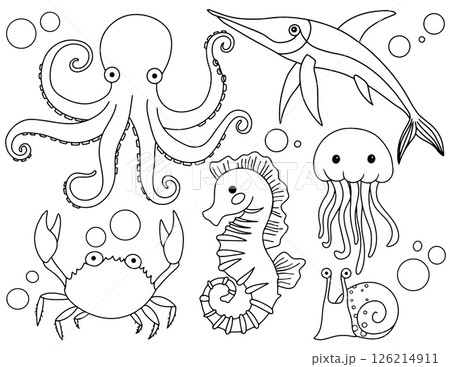 Coloring book. Adorable underwater illustration of sea creatures. Vector illustration in doodle style. 126214911