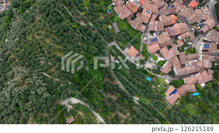 Olive groves embrace a rustic village nestled in the hills, showcasing beautiful rooftops and winding paths Olive groves embrace a rustic village nestled in the hills, showcasing beautiful rooftops and winding paths 126215189