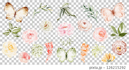 Hand-drawn watercolor illustrations featuring diverse flowers, leaves, and insects. Includes isolated floral elements and arrangements for design projects. Suitable for greeting cards, invitations. 126215292