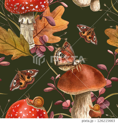 Autumn harvest mushroom, butterflies, snail, colorful oak foliage Fly agaric, boletus botanical fall watercolor texture Perfect for natural forest theme, seasonal textile, wrapping, fabrics, wallpaper 126215663