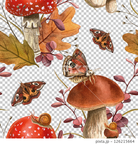 Forest mushrooms, snail, butterflies, autumn foliage and dried twigs seamless pattern Fly agaric, bolete botanical fall watercolor texture. Perfect for natural forest themes, seasonal textile,wrapping 126215664