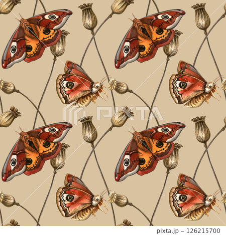 Beige pastel vintage botanical seamless pattern - saturnia butterflies, dried poppy seeds. Watercolor autumn herbarium wallpaper. Ideal for elegant fabrics, botanical print, vintage wrapping, texture 126215700