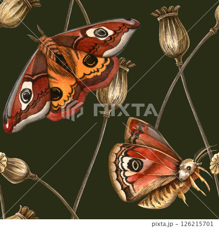 Dark green vintage botanical seamless pattern with butterflies and dried poppy bulbs. Watercolor autumn seasonal herbal wallpaper Ideal for feminine fabrics, botanical print, vintage wrapping, texture Dark green vintage botanical seamless pattern with butterflies and dried poppy bulbs. Watercolor autumn seasonal herbal wallpaper Ideal for feminine fabrics, botanical print, vintage wrapping, texture 126215701