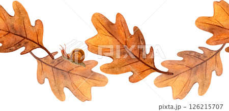 Autumn oak leaves and bright snails seamless border. Colorful fall watercolor bordure of foliage and escargot Floral banner perfect for home fabric, textile, kitchenware, bed cloth, wrapping, template Autumn oak leaves and bright snails seamless border. Colorful fall watercolor bordure of foliage and escargot Floral banner perfect for home fabric, textile, kitchenware, bed cloth, wrapping, template 126215707