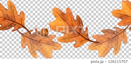Autumn oak leaves and bright snails seamless border. Colorful fall watercolor bordure of foliage and escargot Floral banner perfect for home fabric, textile, kitchenware, bed cloth, wrapping, template Autumn oak leaves and bright snails seamless border. Colorful fall watercolor bordure of foliage and escargot Floral banner perfect for home fabric, textile, kitchenware, bed cloth, wrapping, template 126215707