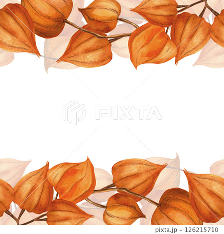 Chinese lanterns physalis square template with seamless border. Autumn template - goldenberry, winter cherry, gooseberry. Perfect for seasonal decoration, food theme, home textile, kitchenware, fabric 126215710