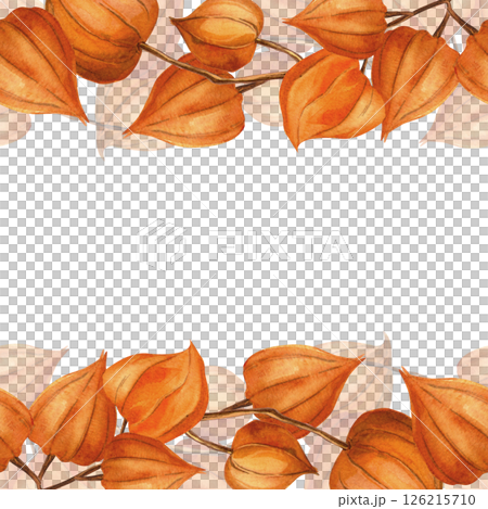 Chinese lanterns physalis square template with seamless border. Autumn template - goldenberry, winter cherry, gooseberry. Perfect for seasonal decoration, food theme, home textile, kitchenware, fabric 126215710