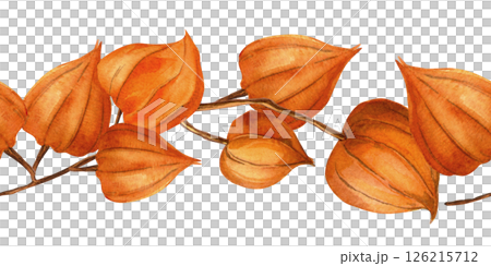 Chinese lantern, goldenberry seamless border. Autumn bordure of physalis, winter cherry, Inka berry, gooseberry twigs. Perfect for seasonal arrangement, home textile, interior fabrics, banner, print 126215712