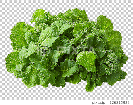 Vibrant bunch of fresh kale, showcasing its deep green color and textured leaves.  Perfect for healthy eating, cooking, or representing concepts of wellness, nature, and abundance. 126215922
