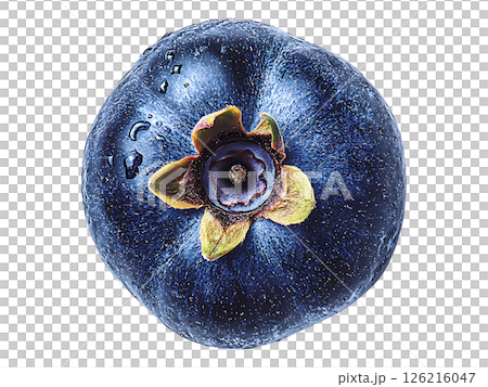 Closeup of a single, ripe blueberry with water droplets, showcasing its vibrant blue hue and intricate details. 126216047