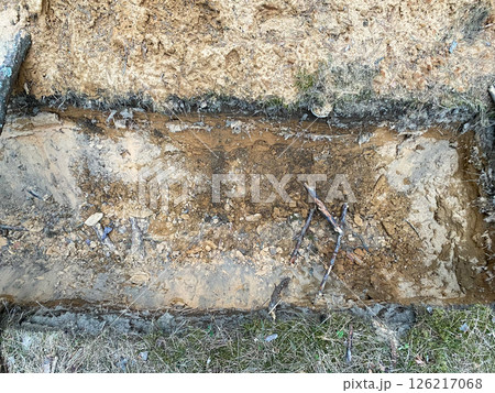 A deep hole in the ground dug in the forest among trees and plants, view from above A deep hole in the ground dug in the forest among trees and plants, view from above 126217068