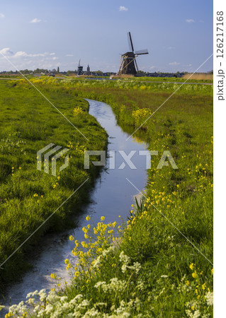 Small stream flowing through green meadow with windmill in Brandwijk, Netherlands Small stream flowing through green meadow with windmill in Brandwijk, Netherlands 126217168