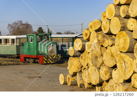 Narrow gauge railway transporting logs in Csomoder, Zala County, Hungary 126217260