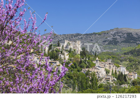 Reilhanette blooming with purple flowers in Drome, France Reilhanette blooming with purple flowers in Drome, France 126217293