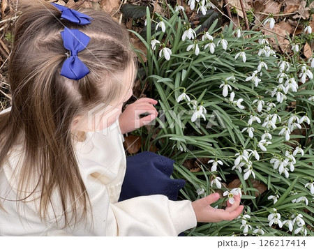 Childhood and snowdrops touching nature. 126217414