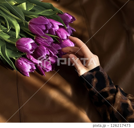 Hand touching purple tulips on brown leather surface in sunlight Hand touching purple tulips on brown leather surface in sunlight 126217473