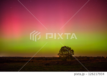 Stunning aurora borealis lights up the night sky with vibrant colors, creating a mesmerizing natural display in the Lithuania fields 10 11 2024 Stunning aurora borealis lights up the night sky with vibrant colors, creating a mesmerizing natural display in the Lithuania fields 10 11 2024 126217934