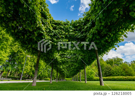 Sustain green environment. Eco friendly modern city. Green Energy Expo. Renewable Energy Global Summit. International Green Energy Conference. 2025 2 Sustain green environment. Eco friendly modern city. Green Energy Expo. Renewable Energy Global Summit. International Green Energy Conference. 2025 2 126218005