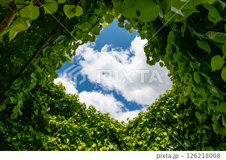 Sustain green environment. Eco friendly modern city. Green Energy Expo. Renewable Energy Global Summit. International Green Energy Conference. 2025 2 Sustain green environment. Eco friendly modern city. Green Energy Expo. Renewable Energy Global Summit. International Green Energy Conference. 2025 2 126218008