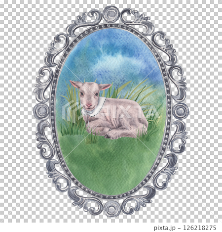 An elegant oval-shaped carved frame in which a small lamb lying on a green lawn. Hand drawn watercolor illustration of cute baby sheep on isolated background. Little farm animal for Easter decor. 126218275