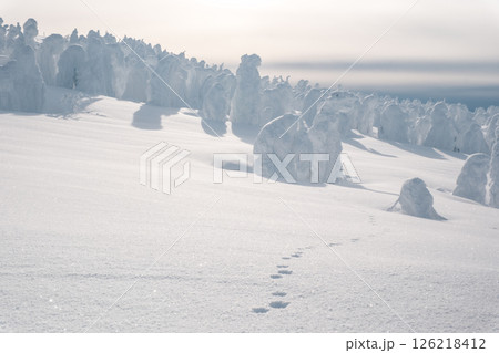 冬の蔵王 126218412