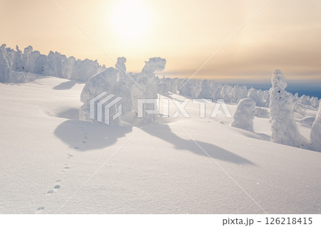 冬の蔵王 126218415