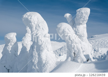 冬の蔵王 126218439