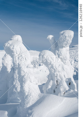 冬の蔵王 冬の蔵王 126218440