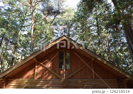 森林内に建つログハウス 森林内に建つログハウス 126218514