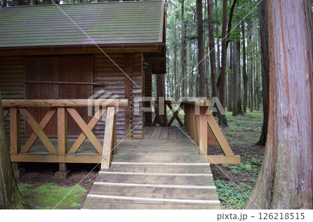森林内に建つログハウス 森林内に建つログハウス 126218515