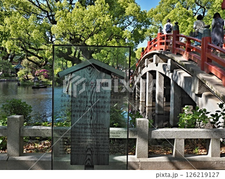 太宰府天満宮の風景 126219127