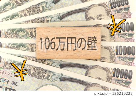 106万円の壁に関するイメージ 126219223