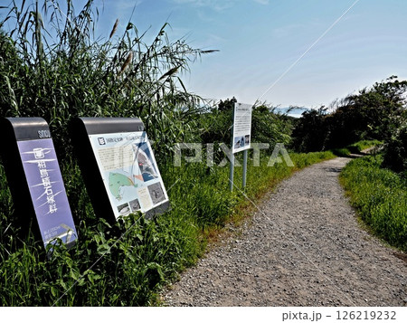 相島の風景 126219232