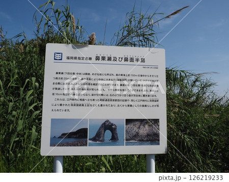 相島の風景 126219233