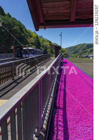 芝桜が咲く平福駅 芝桜が咲く平福駅 126219287